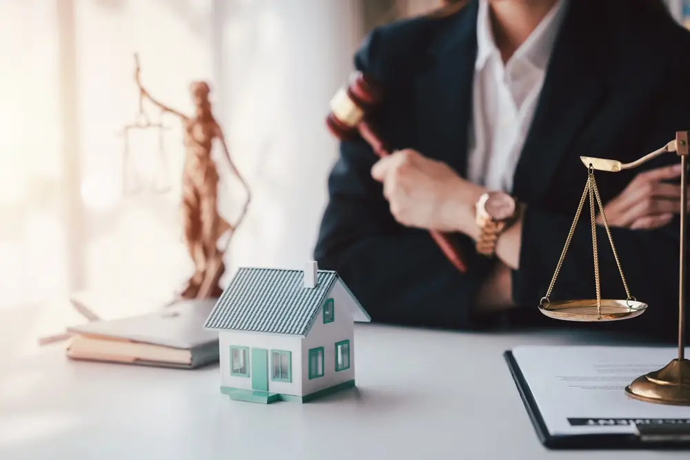 gestion des litiges